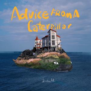 捷克街头钞能力免费观看在线播放
