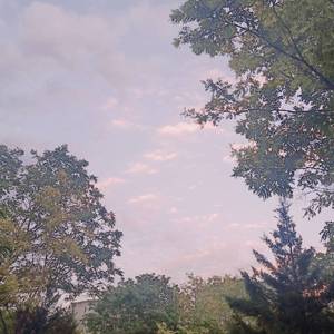 捷克街头钞能力免费观看在线播放
