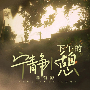 捷克街头钞能力免费观看在线播放
