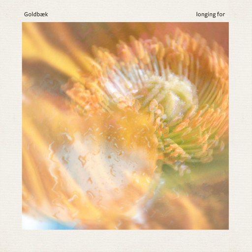 捷克街头钞能力免费观看在线播放
